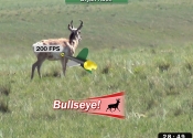 TechnoHUNT screenshot