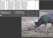TechnoHUNT screenshot